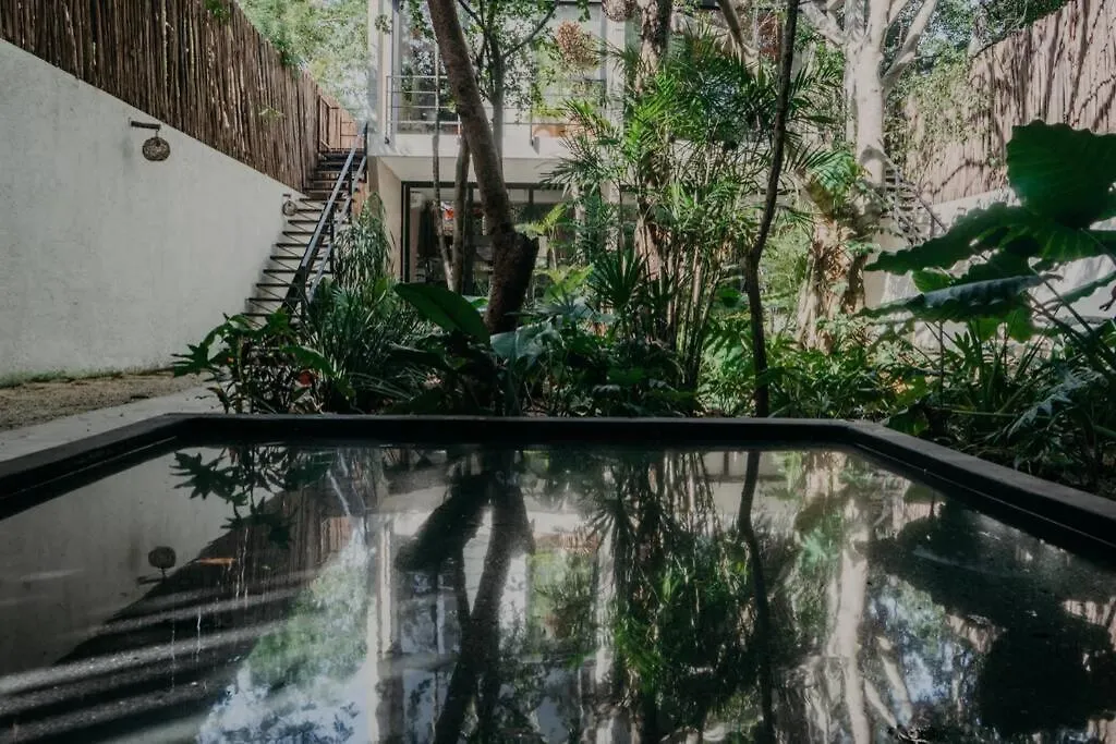Apartment With Private Plunge Pool At Madara Tulum